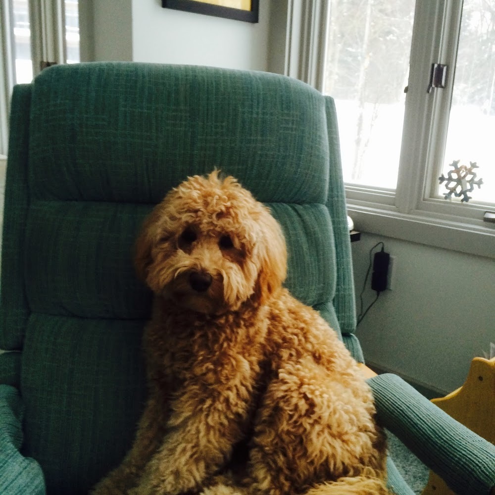 Meet your Posher, Michaela